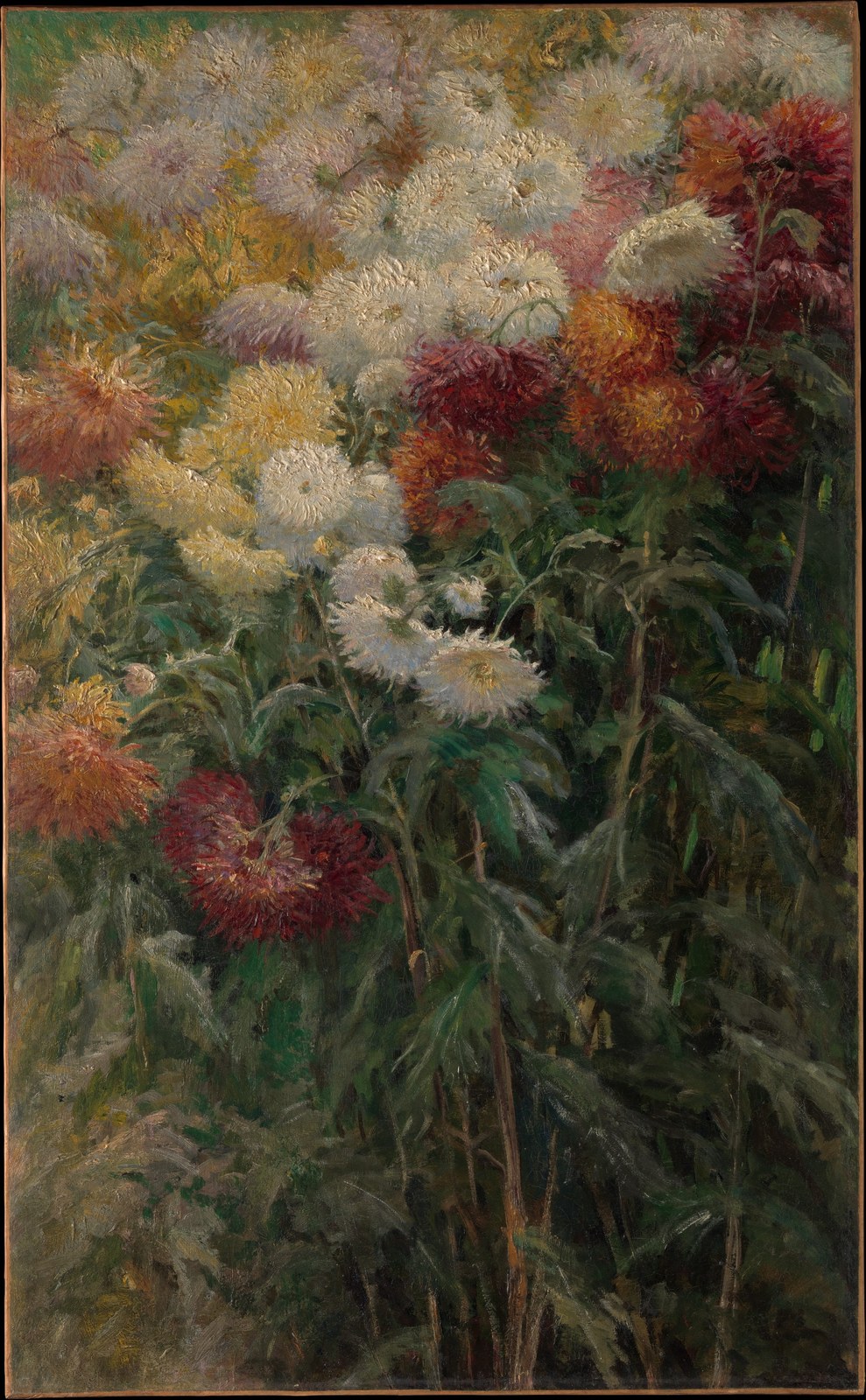 Caillebotte, Chrysanthemums in the Garden at Petit-Gennevilliers