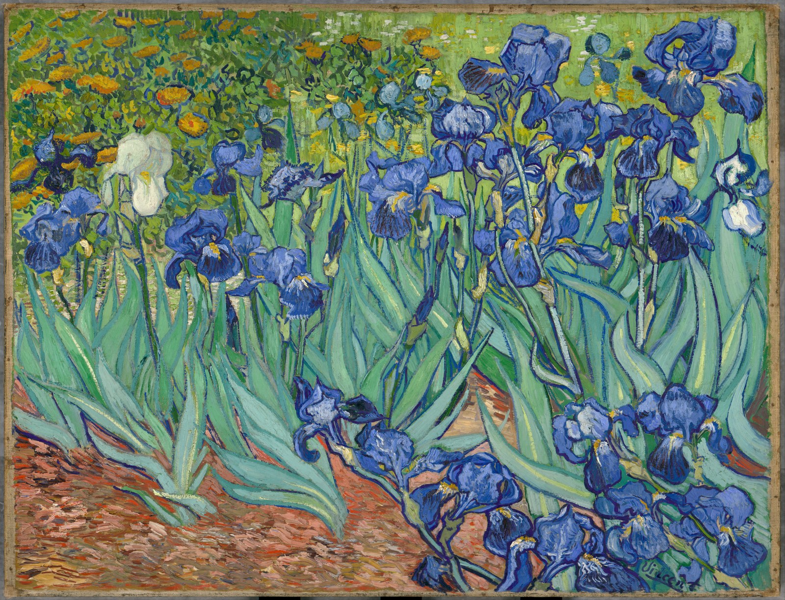 Gogh, Irises